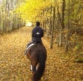 trail
